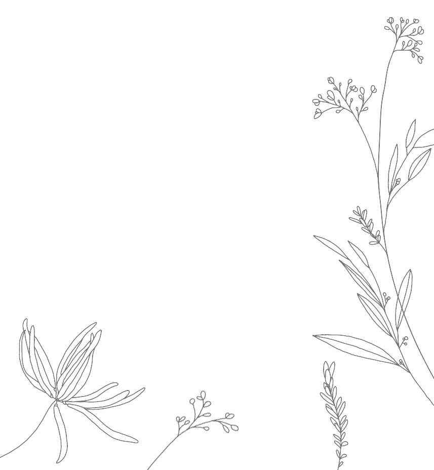 Flowers https://lorenzoandjoy.com/wp-content/uploads/2026/04/Flowers-1.png